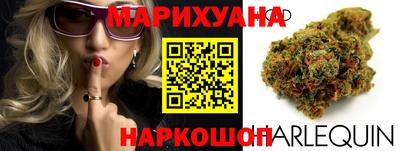 гидропоника Пенза