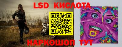 гидропоника Пенза
