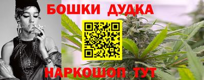 гидропоника Пенза