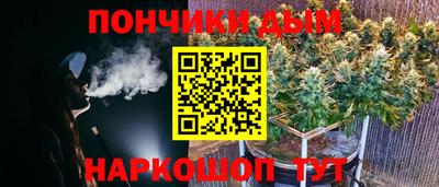 гидропоника Пенза