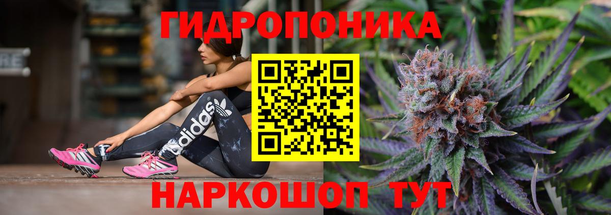 Бошки Шишки семена Рыбинск